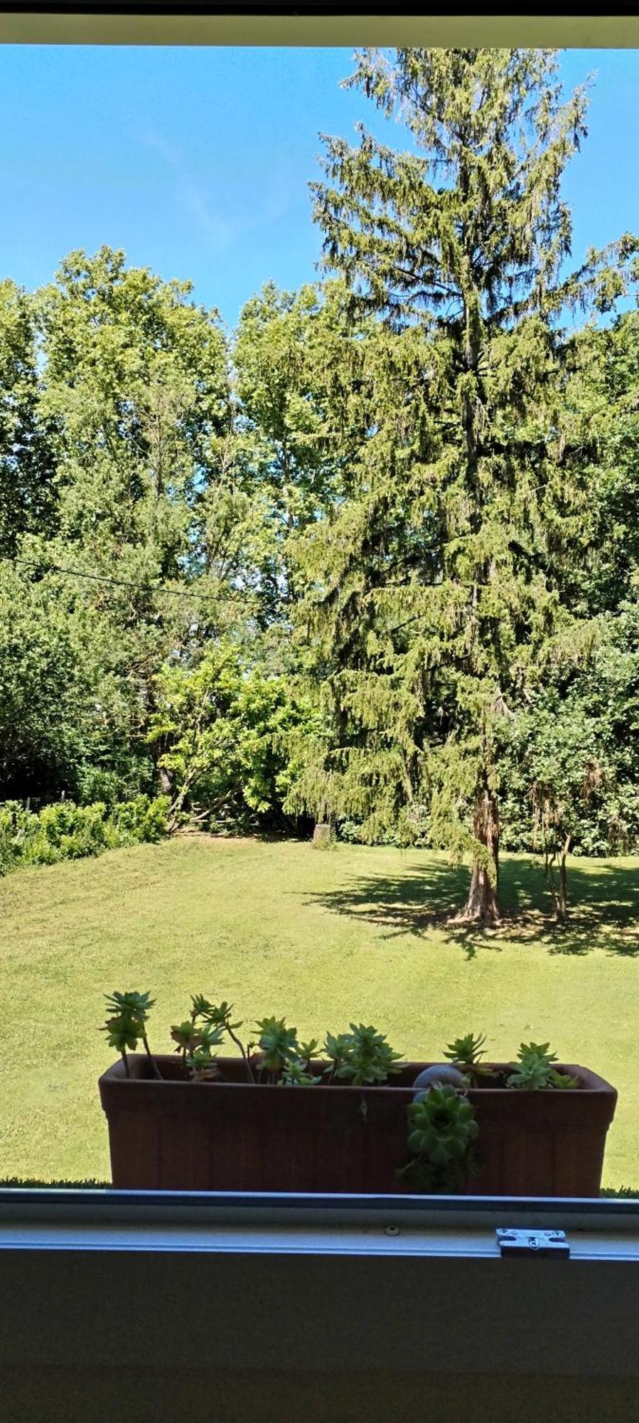 Montgiscard La Casanat B&B 외부 사진