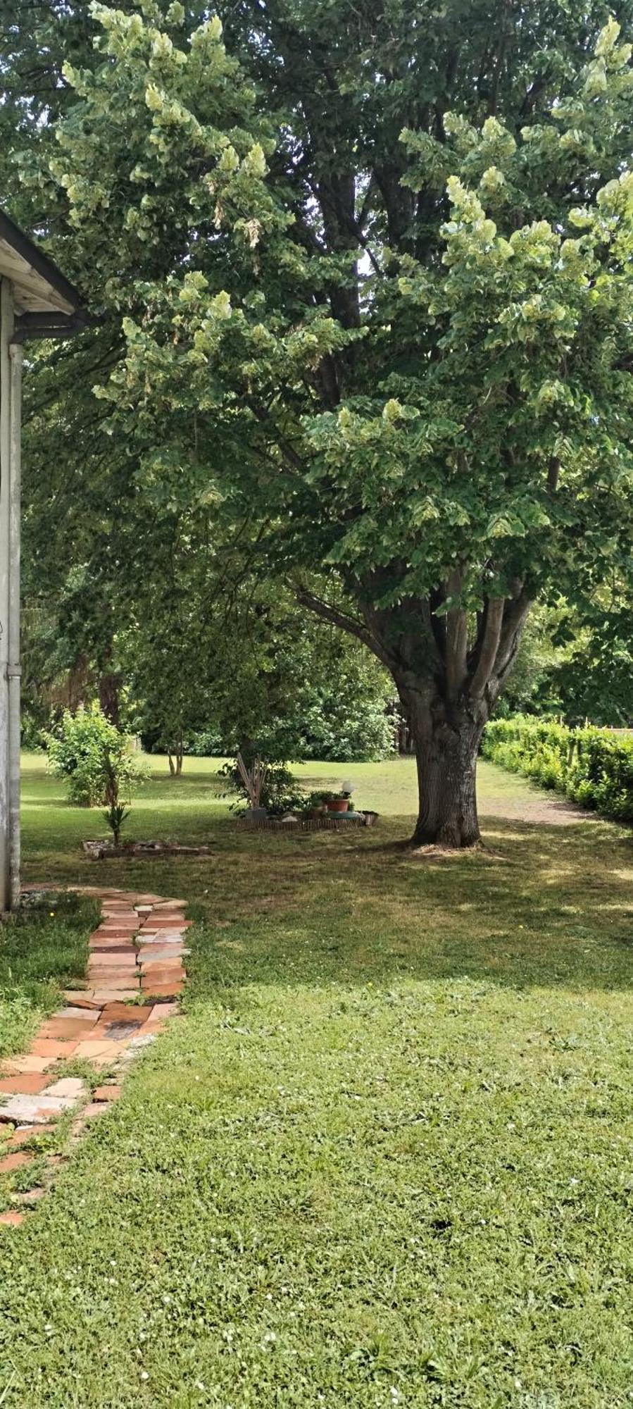 Montgiscard La Casanat B&B 외부 사진